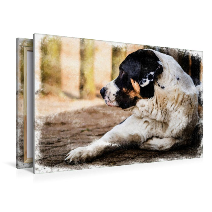 Premium Textil-Leinwand Mastin Espanol - Mix