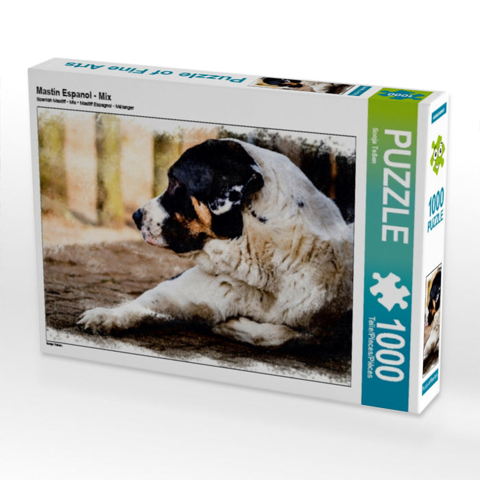 Mastin Espanol - Mix 1000 Teile Puzzle quer - CALVENDO Foto-Puzzle'