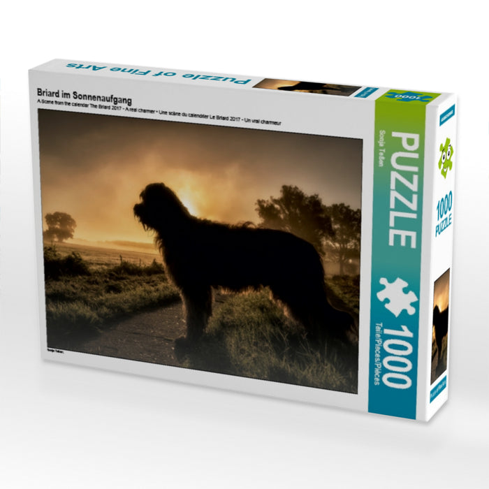 Briard im Sonnenaufgang 1000 Teile Puzzle quer - CALVENDO Foto-Puzzle'