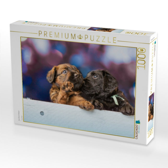 Zwei Briard-Welpen - CALVENDO Foto-Puzzle'