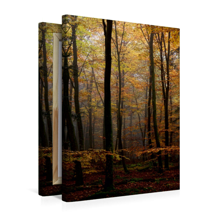 Premium Textil-Leinwand Herbst im Wald