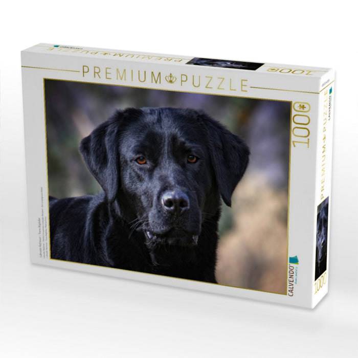 Labrador Retriever - Treue Begleiter - CALVENDO Foto-Puzzle'