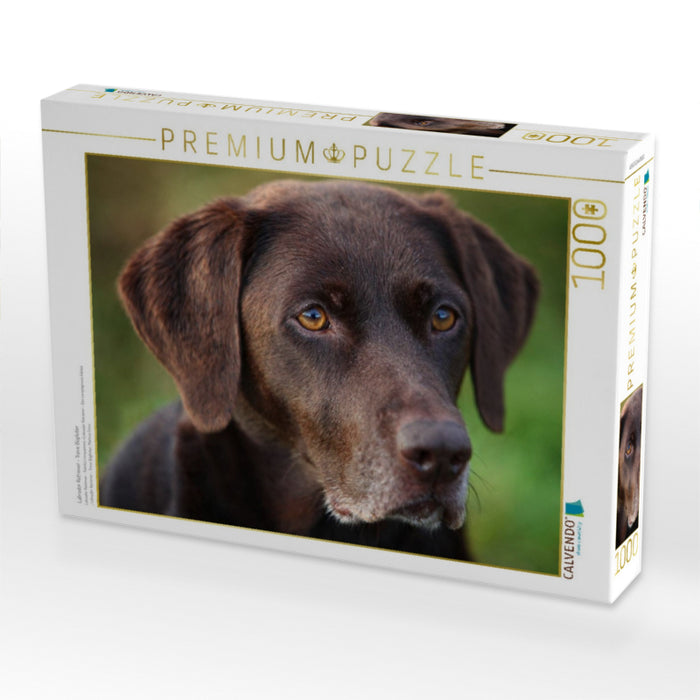 Labrador Retriever - Treue Begleiter - CALVENDO Foto-Puzzle'