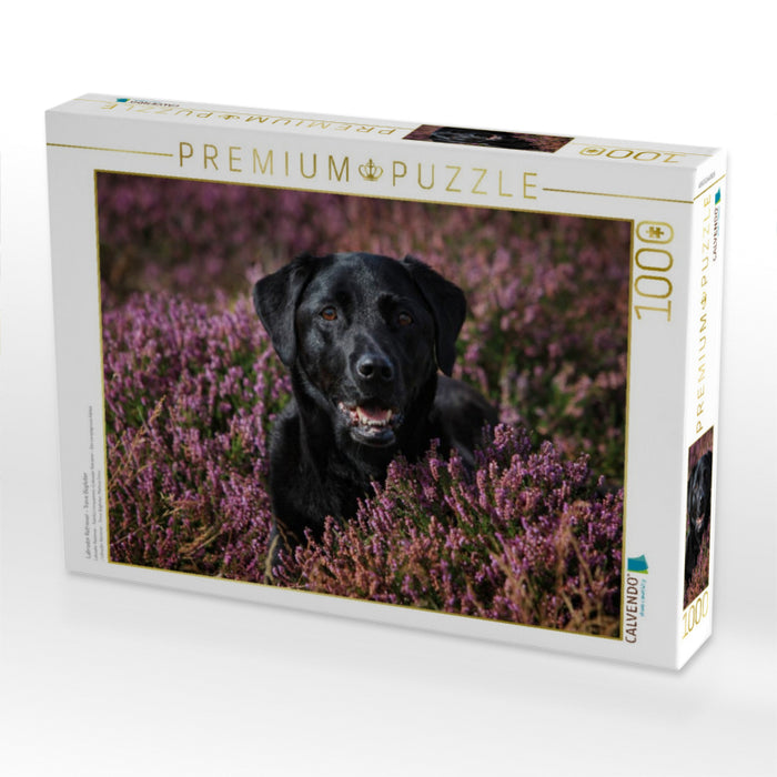Labrador Retriever - Treue Begleiter - CALVENDO Foto-Puzzle'