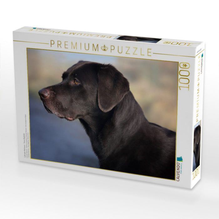 Labrador Retriever - Treue Begleiter - CALVENDO Foto-Puzzle'