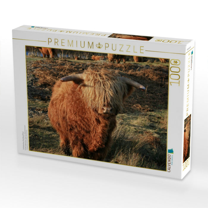Schottisches Hochland Rind - CALVENDO Foto-Puzzle'