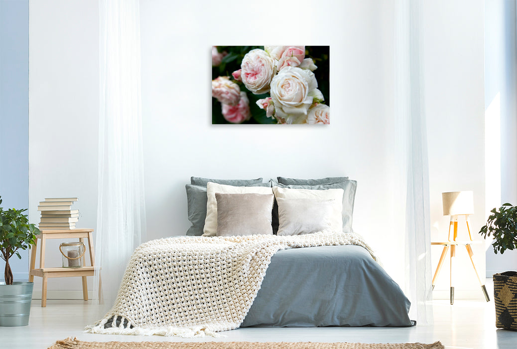 Premium Textil-Leinwand Premium Textil-Leinwand 120 cm x 80 cm quer Rosen im Garten