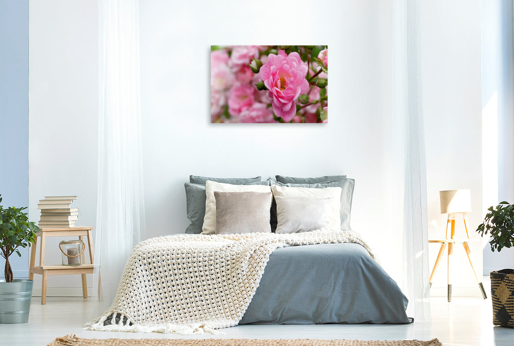 Toile textile premium Toile textile premium 90 cm x 60 cm paysage Rose - Reine des Fleurs