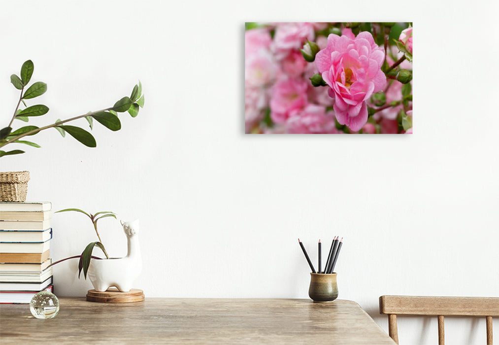 Toile textile premium Toile textile premium 90 cm x 60 cm paysage Rose - Reine des Fleurs