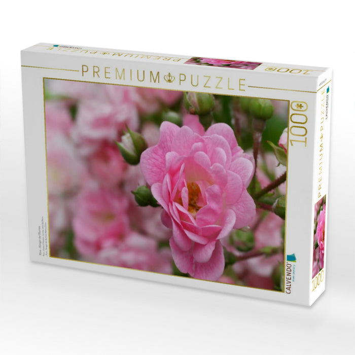 Rose - Königin der Blumen - CALVENDO Foto-Puzzle'