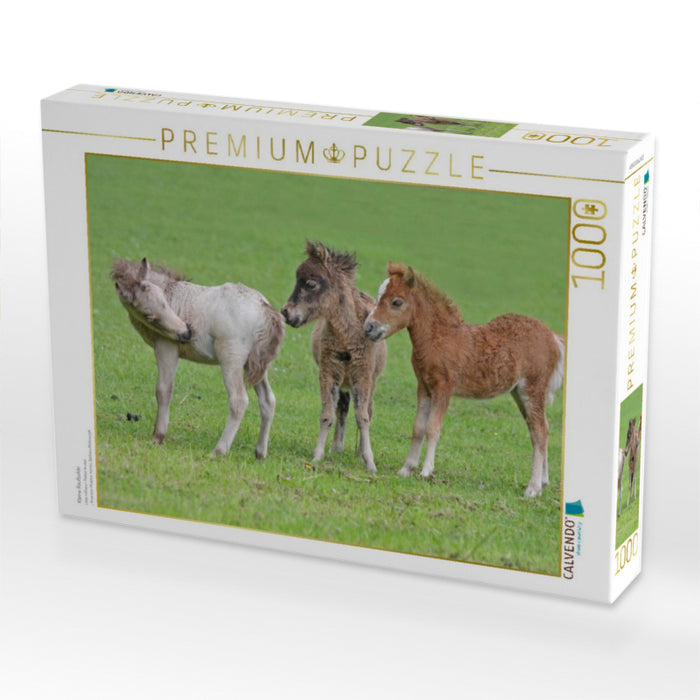 Kleine Raufbolde - CALVENDO Foto-Puzzle'