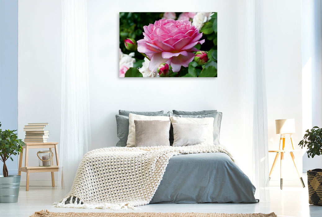 Premium Textil-Leinwand Premium Textil-Leinwand 120 cm x 80 cm quer Englische Rosen im Garten