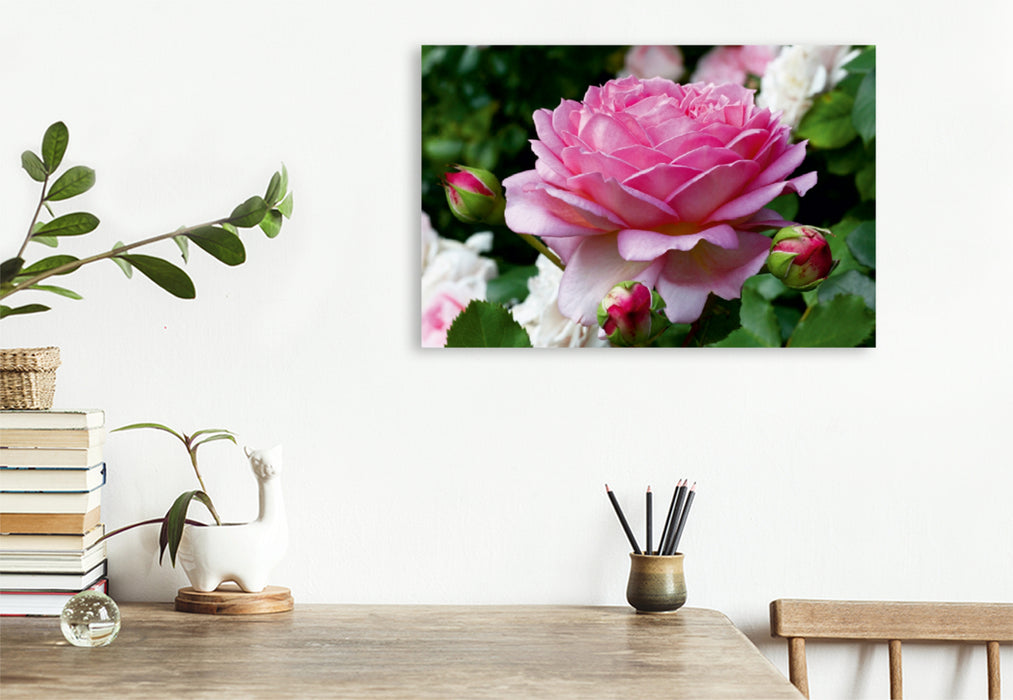 Toile textile premium Toile textile premium 120 cm x 80 cm paysage roses anglaises dans le jardin 