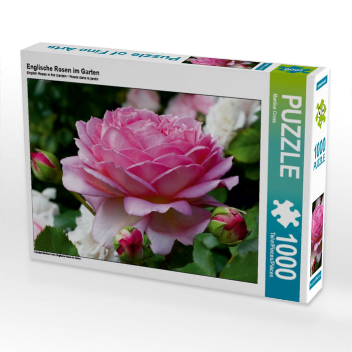 English roses in the garden - CALVENDO photo puzzle 