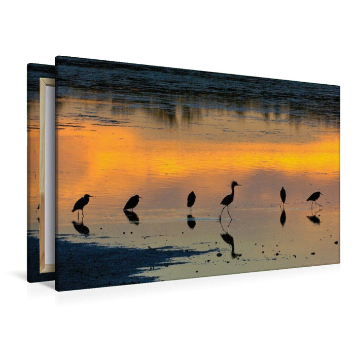 Premium Textil-Leinwand Florida Sunset
