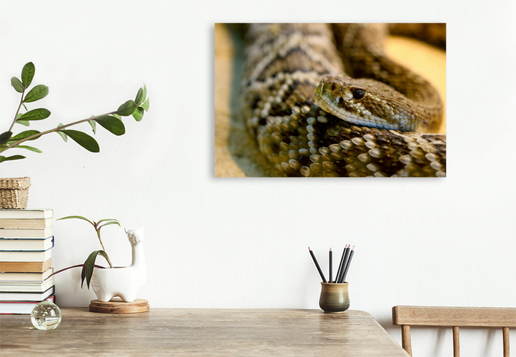 Toile textile premium Toile textile premium 120 cm x 80 cm paysage serpent à sonnette 