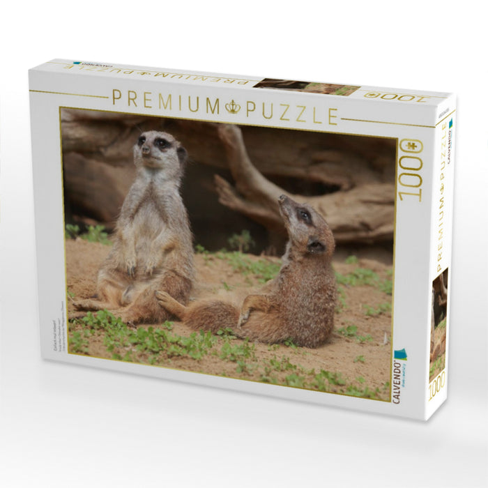 Einfach mal relaxen! - CALVENDO Foto-Puzzle'