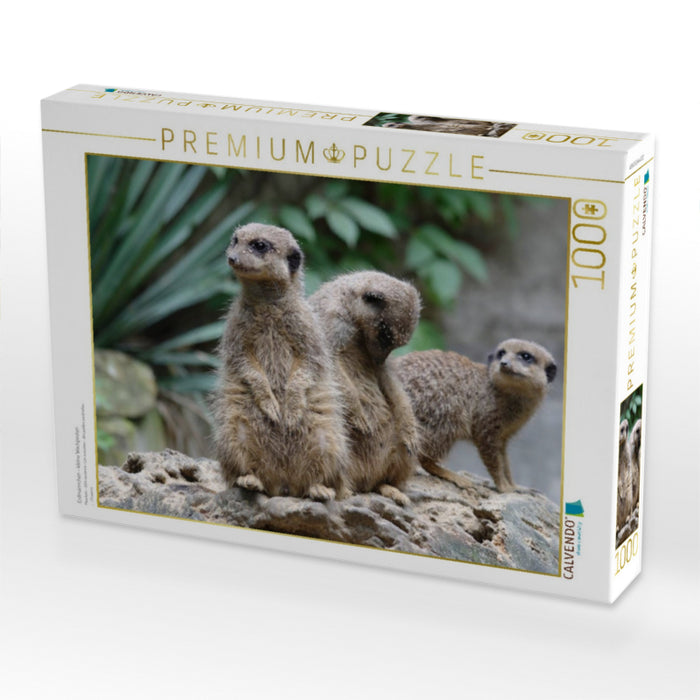 Erdmännchen - kleine Wachposten - CALVENDO Foto-Puzzle'