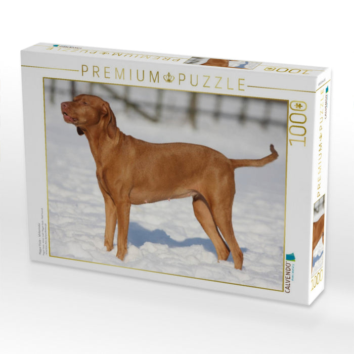 Magyar Vizsla - Wintermotiv - CALVENDO Foto-Puzzle'