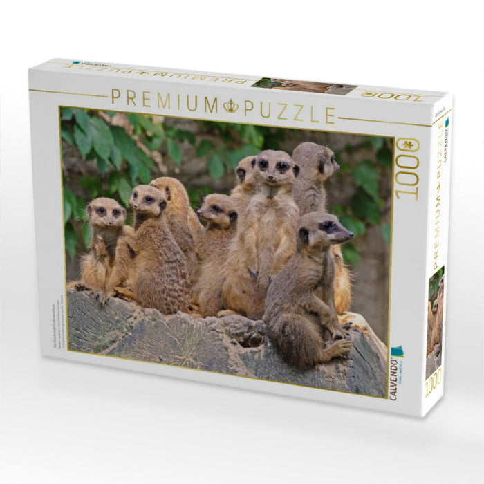 Familienbande Erdmännchen - CALVENDO Foto-Puzzle'