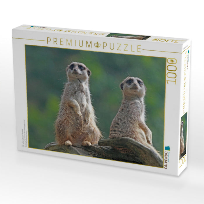 Wir sehen alles am Himmel! - CALVENDO Foto-Puzzle'