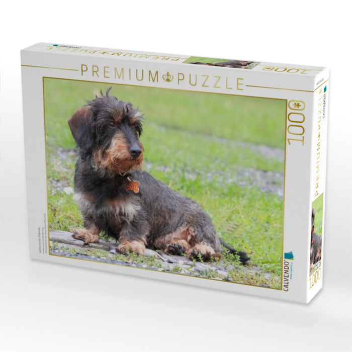 Liebenswerter Rabauke - CALVENDO Foto-Puzzle'
