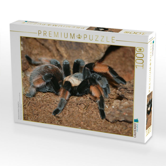 Mexikanische Rotknie-Vogelspinne - CALVENDO Foto-Puzzle'