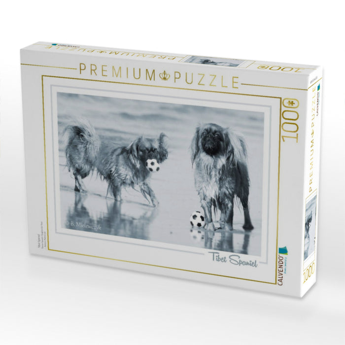 Tibet Spaniel - CALVENDO Foto-Puzzle'