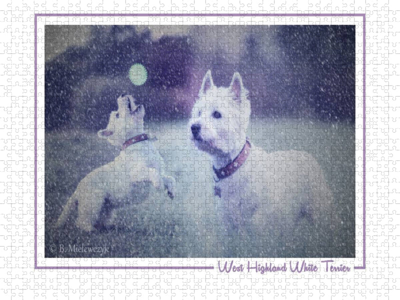 West Highland White Terrier - CALVENDO Foto-Puzzle'
