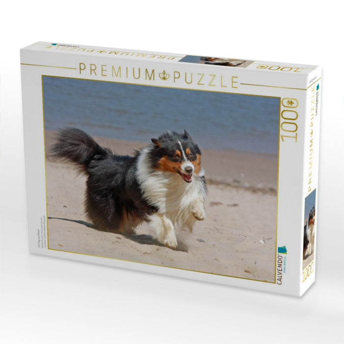 Ein Tag am Meer! - CALVENDO Foto-Puzzle'