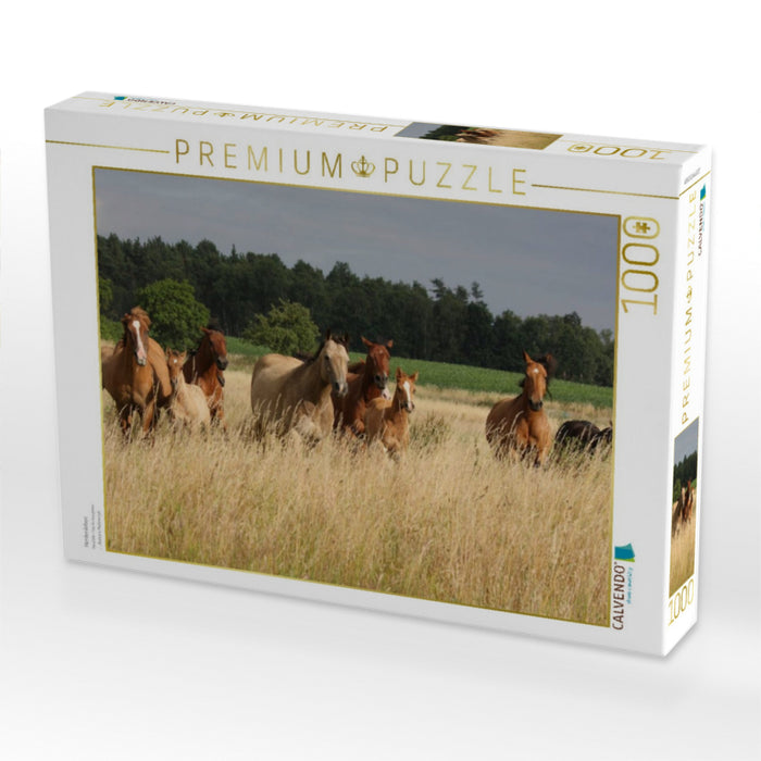 Herdenleben - CALVENDO Foto-Puzzle'