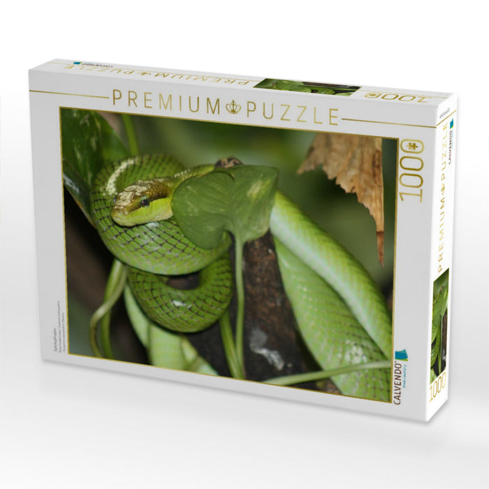 Spitzkopfnatter - CALVENDO Foto-Puzzle'