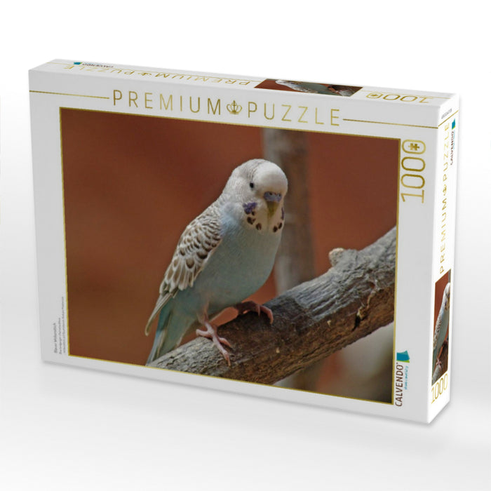 Blauer Wellensittich - CALVENDO Foto-Puzzle'