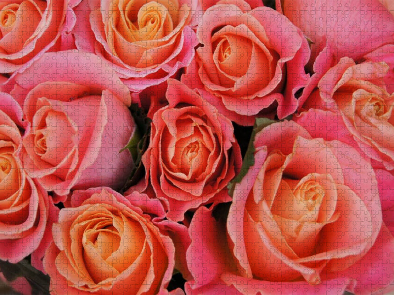 Duftende Rosen - CALVENDO Foto-Puzzle'