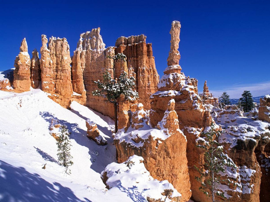 Winter im Bryce Canyon, Utah, USA - CALVENDO Foto-Puzzle'