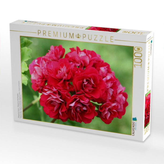 Pelargonien Zauber - Pelargonium Pink Rambler - CALVENDO Foto-Puzzle'