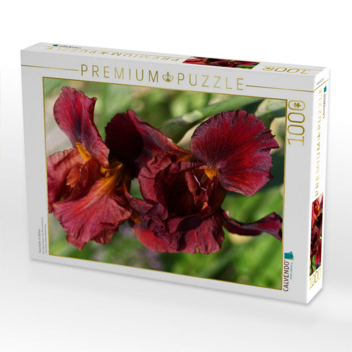 Traumhafte Iris Blüten - CALVENDO Foto-Puzzle'