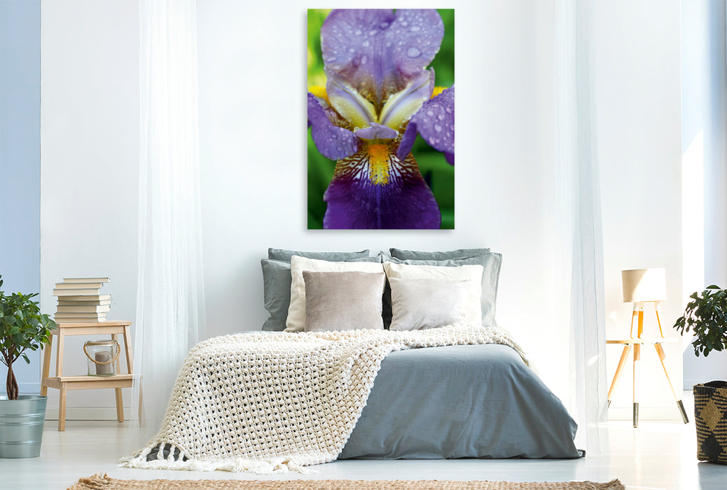 Premium Textil-Leinwand Premium Textil-Leinwand 80 cm x 120 cm  hoch Traumhafte Iris Blüte