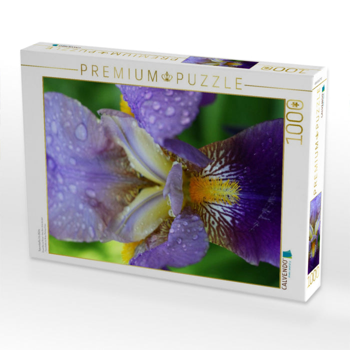 Traumhafte Iris Blüte - CALVENDO Foto-Puzzle'