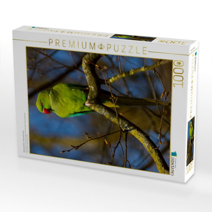 Halsbandsittich / Alexandersittich - CALVENDO Foto-Puzzle'