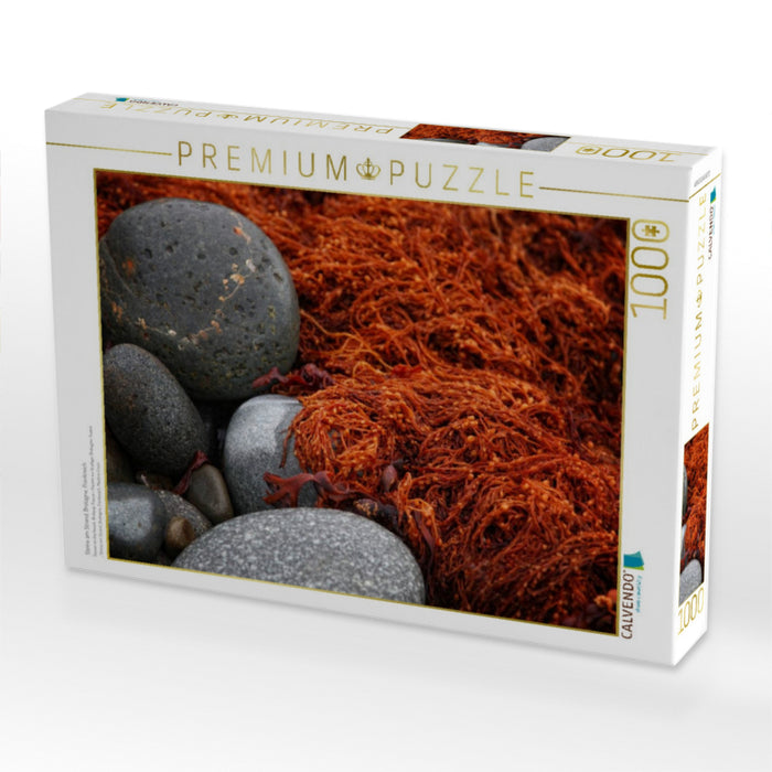 Steine am Strand, Bretagne, Frankreich - CALVENDO Foto-Puzzle'