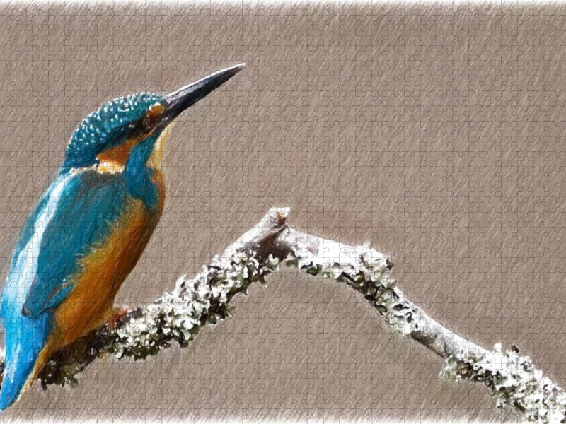 Eisvogel - CALVENDO Foto-Puzzle'