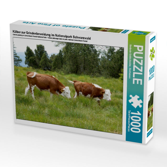 Kälber zur Grindenbeweidung im Nationalpark Schwarzwald 1000 Teile Puzzle quer - CALVENDO Foto-Puzzle'