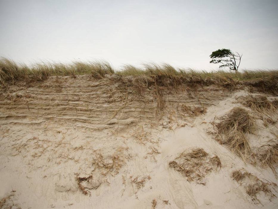 Darßer Weststrand - CALVENDO Foto-Puzzle'