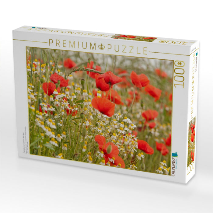 Mohnblumen säumen den Weg - CALVENDO Foto-Puzzle'