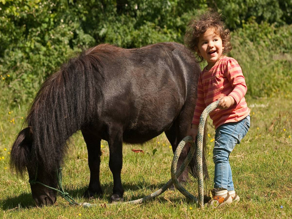 Kinderfreude mit Shetlandpony - CALVENDO Foto-Puzzle'