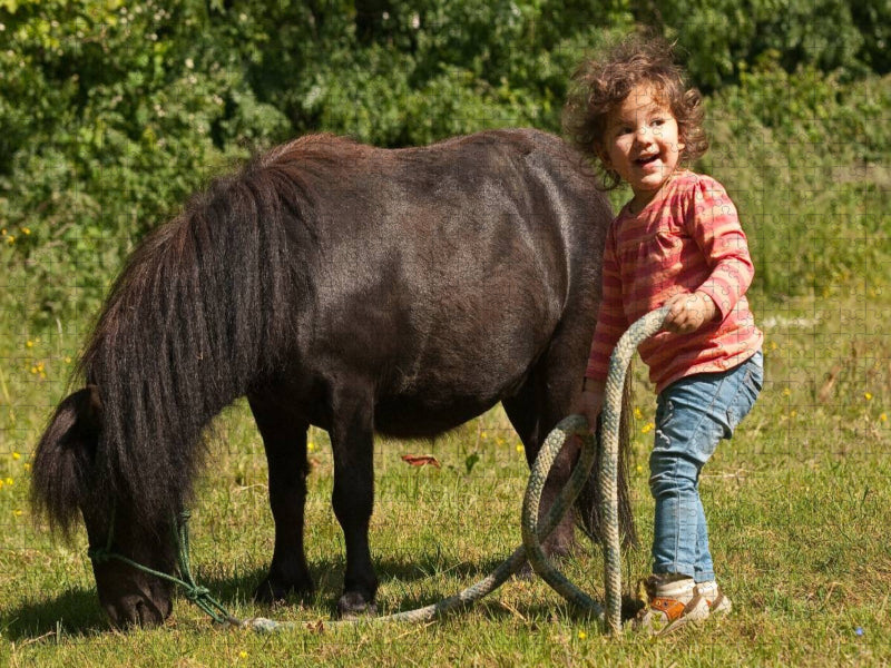 Kinderfreude mit Shetlandpony - CALVENDO Foto-Puzzle'