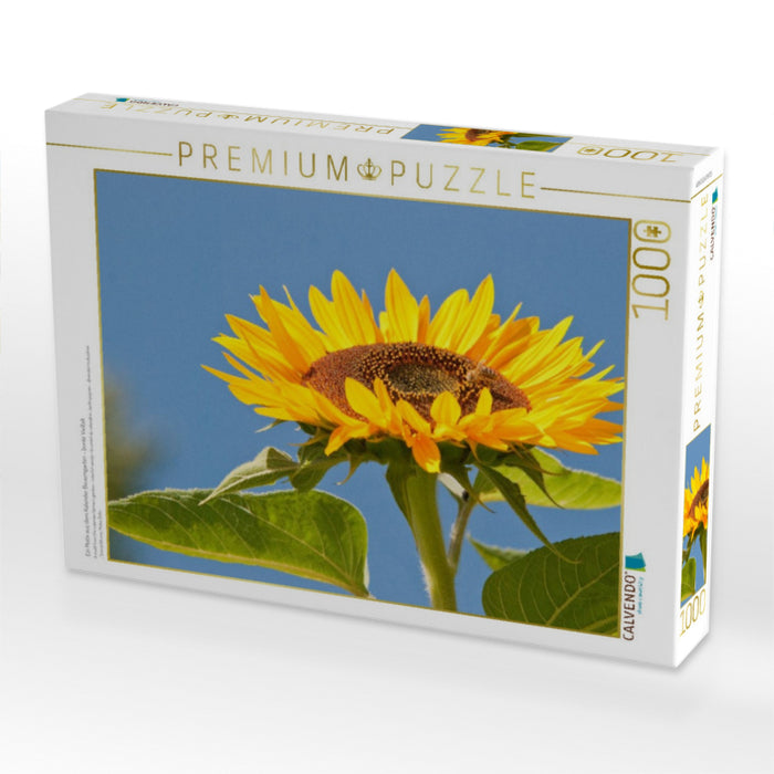 Ein Motiv aus dem Kalender Bauerngarten - bunte Vielfalt - CALVENDO Foto-Puzzle'
