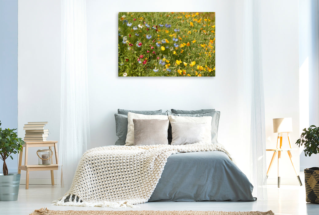 Toile textile premium Toile textile premium 120 cm x 80 cm paysage Fleurs sauvages pour abeilles avec coquelicots dorés et jeunes dans le vert 