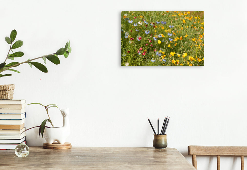 Toile textile premium Toile textile premium 120 cm x 80 cm paysage Fleurs sauvages pour abeilles avec coquelicots dorés et jeunes dans le vert 